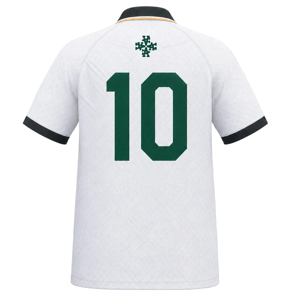 Maillot de Foot Algerie