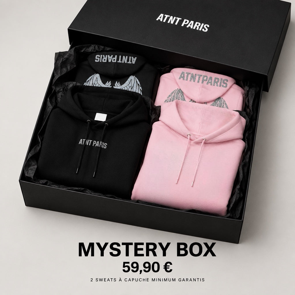 Mystery Box ATNT Paris - 2 Sweats à Capuche Minimum