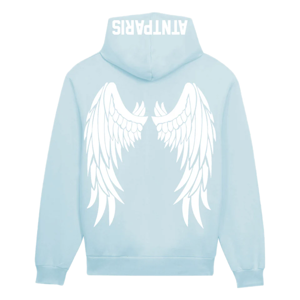 Sweat à capuche bleu ciel Dark Angel ATNT PARIS, vue de dos.